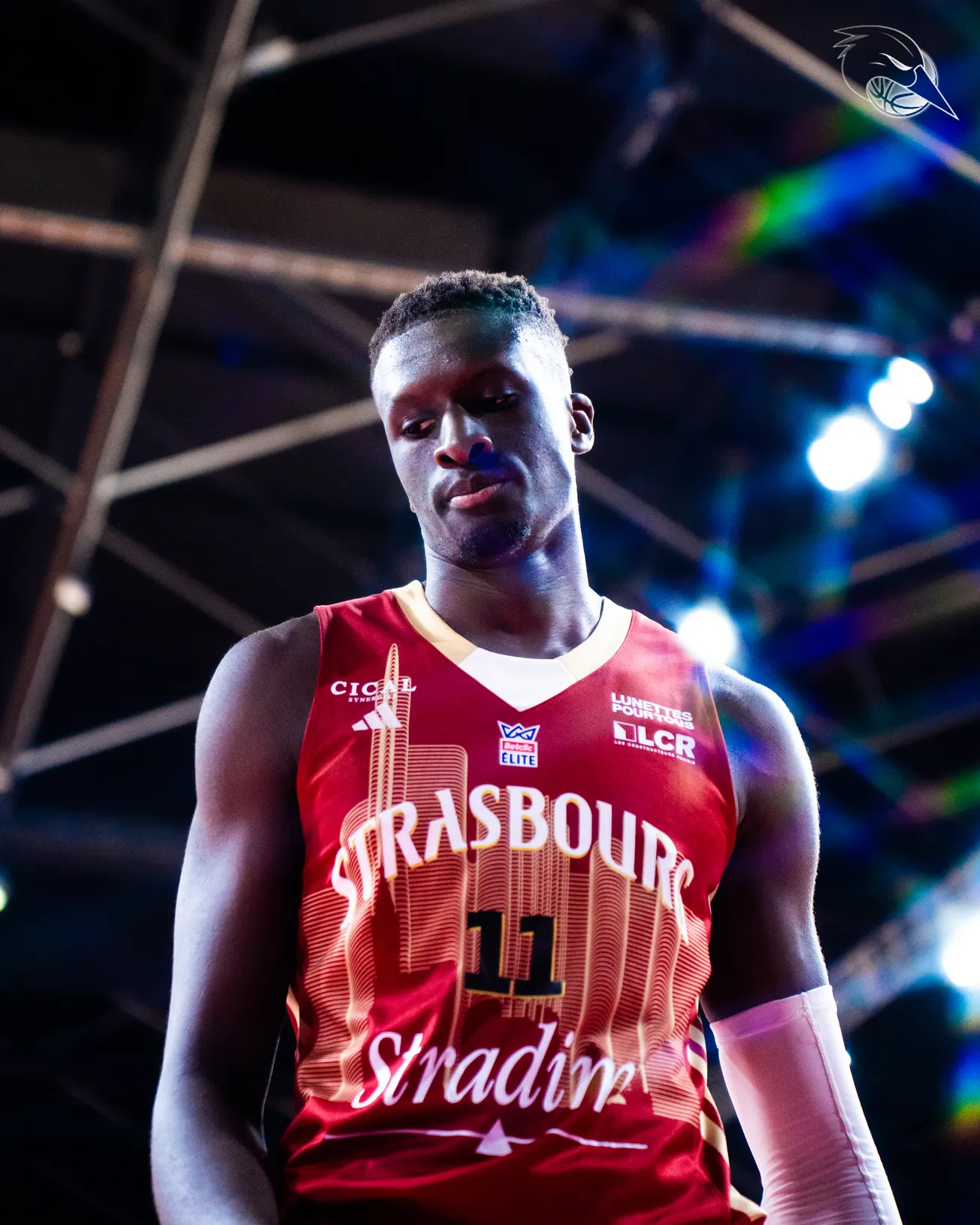 Face à Limoges, la SIG est en situation de "must win" d'après Abdoulaye Ndoye