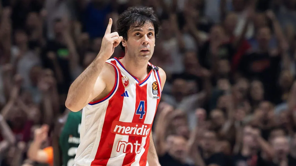 Milos Teodosic bientôt intégré à la direction de l'Étoile Rouge ?