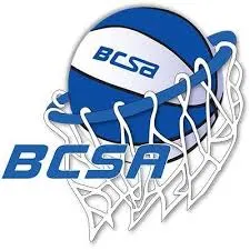 Aube: Une coach de 77 ans agressée par le père d’un joueur