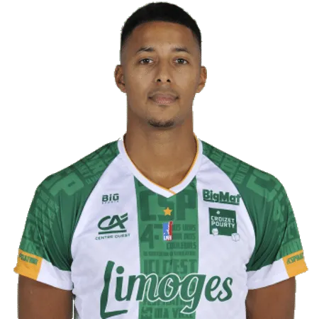 Clasico: Limoges punit Pau (81-68) et se qualifie pour la Leaders Cup
