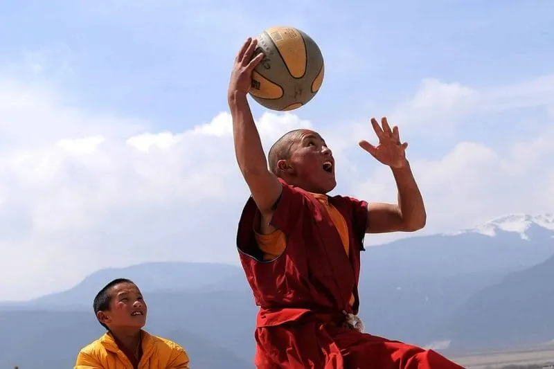 Une leçon de basket des lamas de Chine