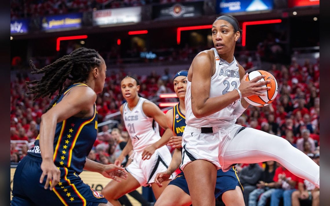 WNBA announcer LaChina Robinson calls out Fever fans after A’ja Wilson incident