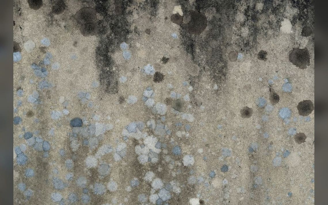 Mold Is Growing Into Major Problem For Apartment Owners