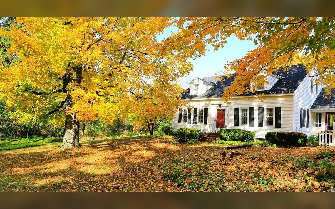 Mortgage applications post first weekly gain since August