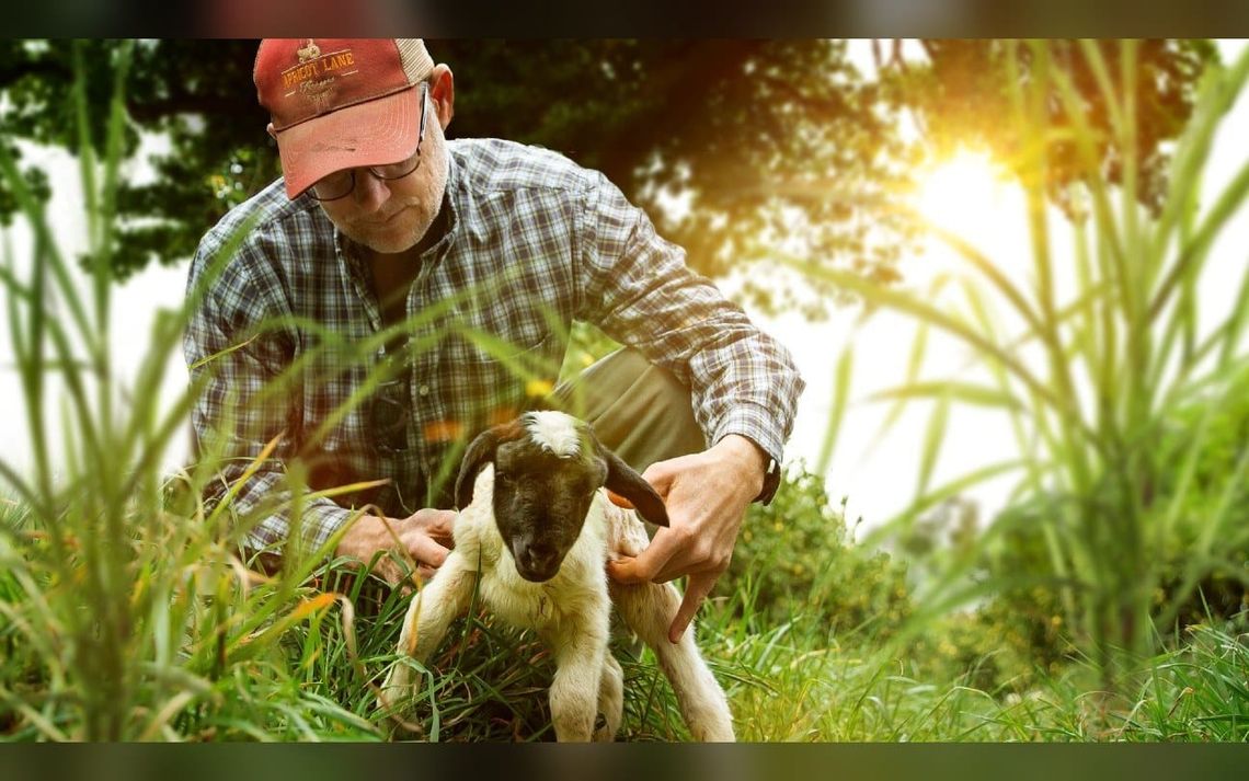‘The Biggest Little Farm’ Sequel Series to Debut Next Month in Follow-Up to 2019 Documentary (Exclusive)
