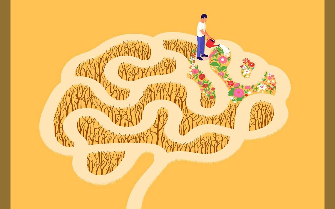 Your brain’s unexpected ability to regenerate and how to harness it