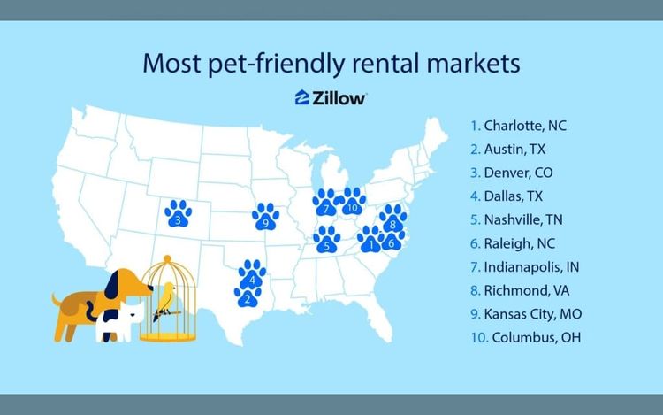 Charlotte is America’s most pet-friendly rental market