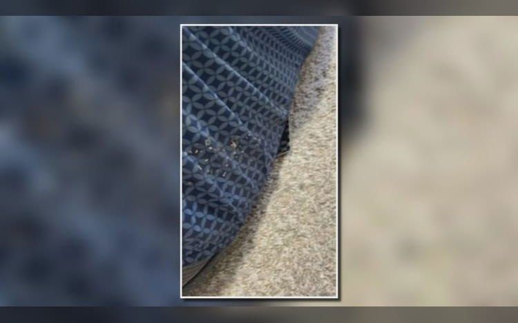 Clayton County mother facing eviction after withholding rent over mold, maggots and broken A/C