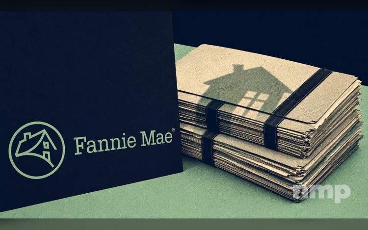 Fannie Mae Returns To Distressed-Loan Market With $214 Million Sale