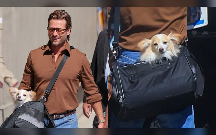 Glen Powell Joined by Beloved Dog Brisket as He Arrives at ‘Jimmy Kimmel Live’ Interview