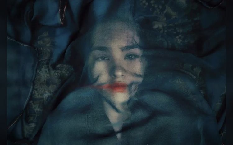 Kino Lorber Acquires ‘A Fox Under A Pink Moon,’ Oscar-Contending Doc That’s “A Diary, A Survival Story, An Artistic Manifesto”