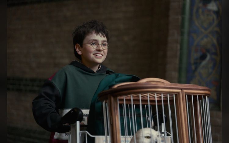‘Harry Potter’ Series, ‘Game of Thrones,’ ‘The White Lotus’ on the Slate as HBO Max Sets October Launch on Prime Video, Hulu Japan