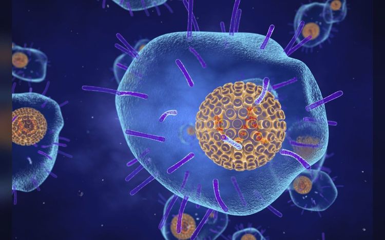 Shingles vaccine may lower risk of stroke and heart failure