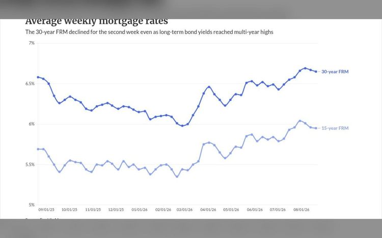 Treasury interventions fail to break rate stagnation