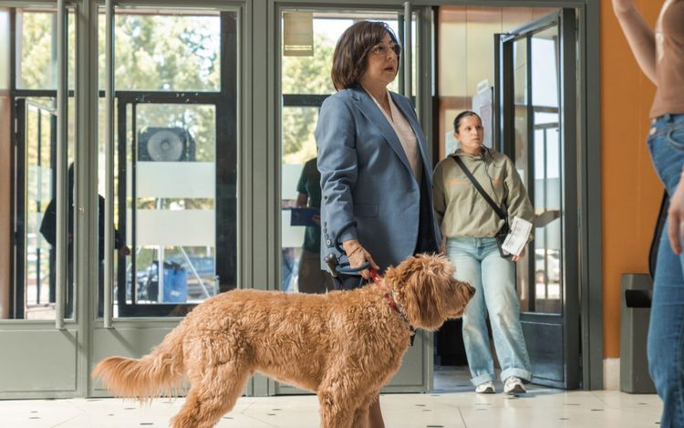 Serielizados Unveils Lineup with ‘Celeste’ Season 2, Hagai Levi, Diane Morgan and the Sánchez-Cabezudo Brothers Series in Competition (EXCLUSIVE)