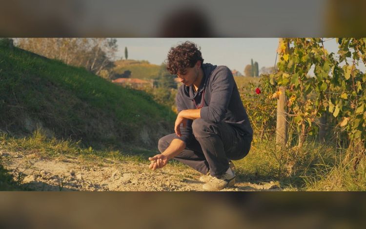Drink In ‘Low Lies The Land,’ Documentary Set In Luscious But Imperiled Winemaking Region Of Italy’s Piemonte – Toronto Film Festival