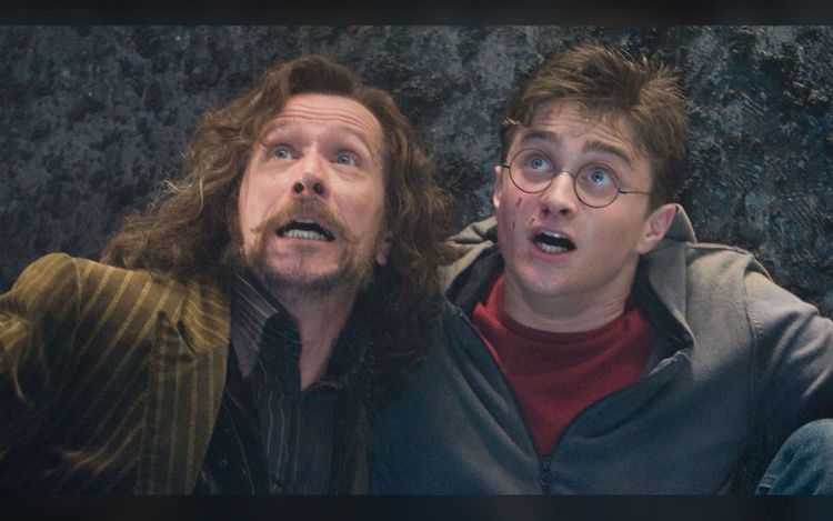 Gary Oldman Says HBO’s ‘Harry Potter’ TV Series Will Be “More Satisfying” Than The Movies