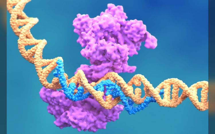 Anthropic’s discovery will, at best, be just another gene-editing tool