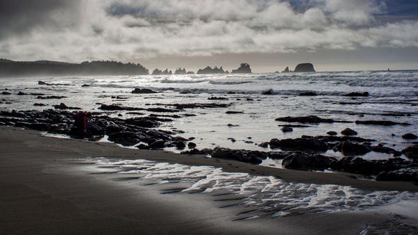 Shi Shi Beach, Olympic National Park