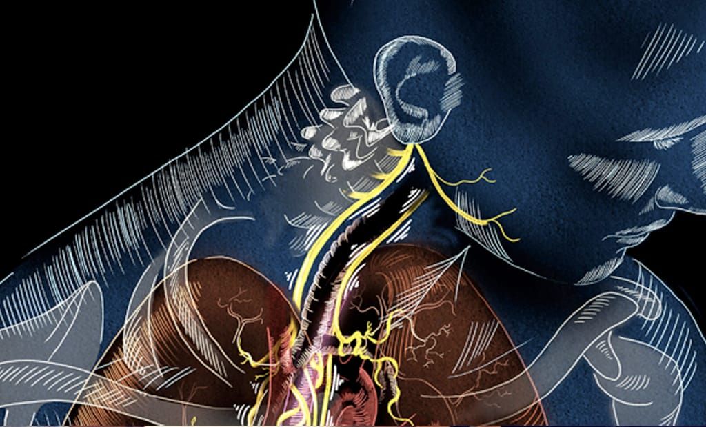 CBS Overnight America: Latest on Bioelectronic Medicine, Windows 10 and 5G