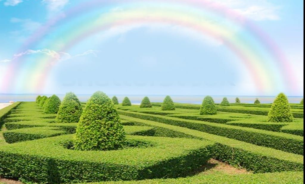 Seeking Answers to the Mobile Data Crunch