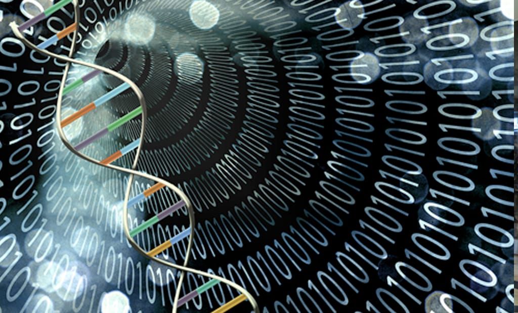 Inside Information: The Key to a Healthier You