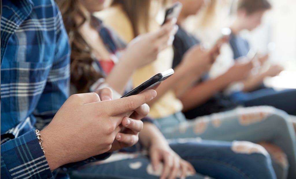 satisfy Your Need For Feed