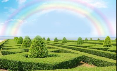 Seeking Answers to the Mobile Data Crunch