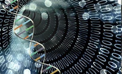 Inside Information: The Key to a Healthier You