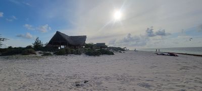 A smartphone for your go-to camera?