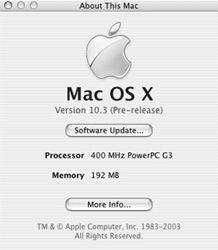 메탈릭 "About This Mac"