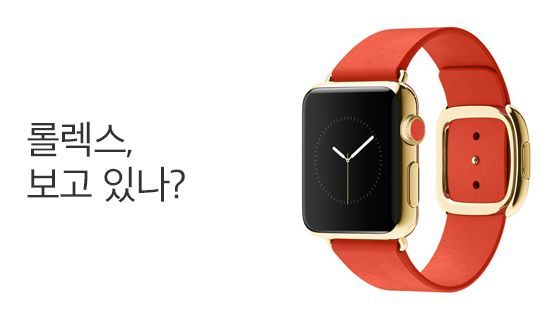 롤렉스, 보고 있나?