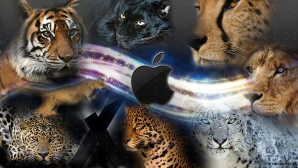 코드 명 Cabernet이라고하는 OS X 10.9은 고급 사용자들을 위한 기능들이 많이 포함 되어 있다?