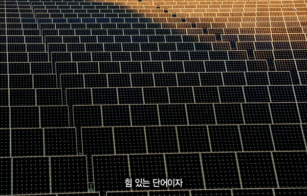 Apple 환경에 대해 이전에 말한 Tim Cook의 영상 Better 공개