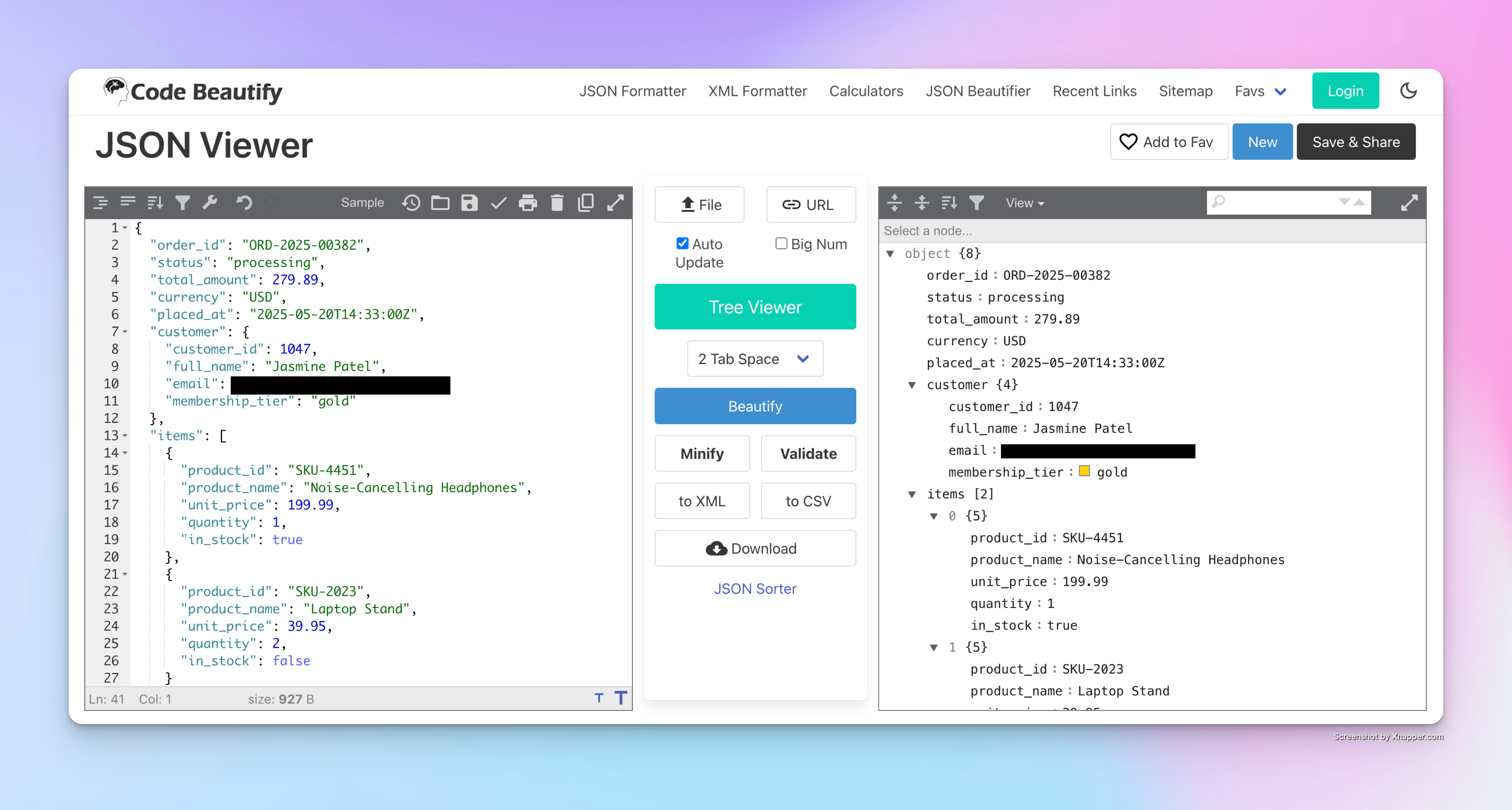JSON Viewer tool displaying a structured e-commerce order with customer and product data in both raw and tree views.