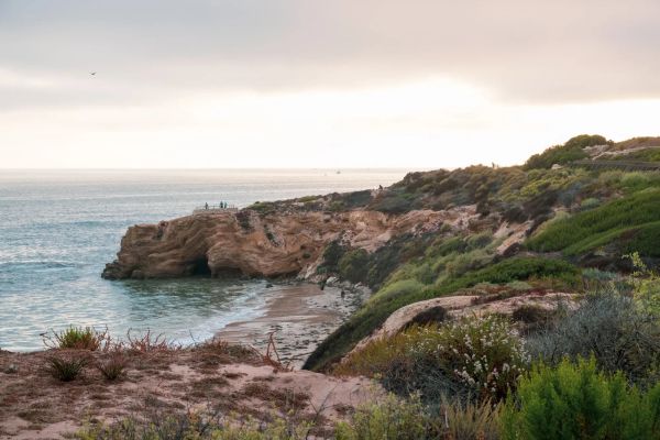 Newport Beach Has Trails. Beautiful, Surprising, Worth Every Step.