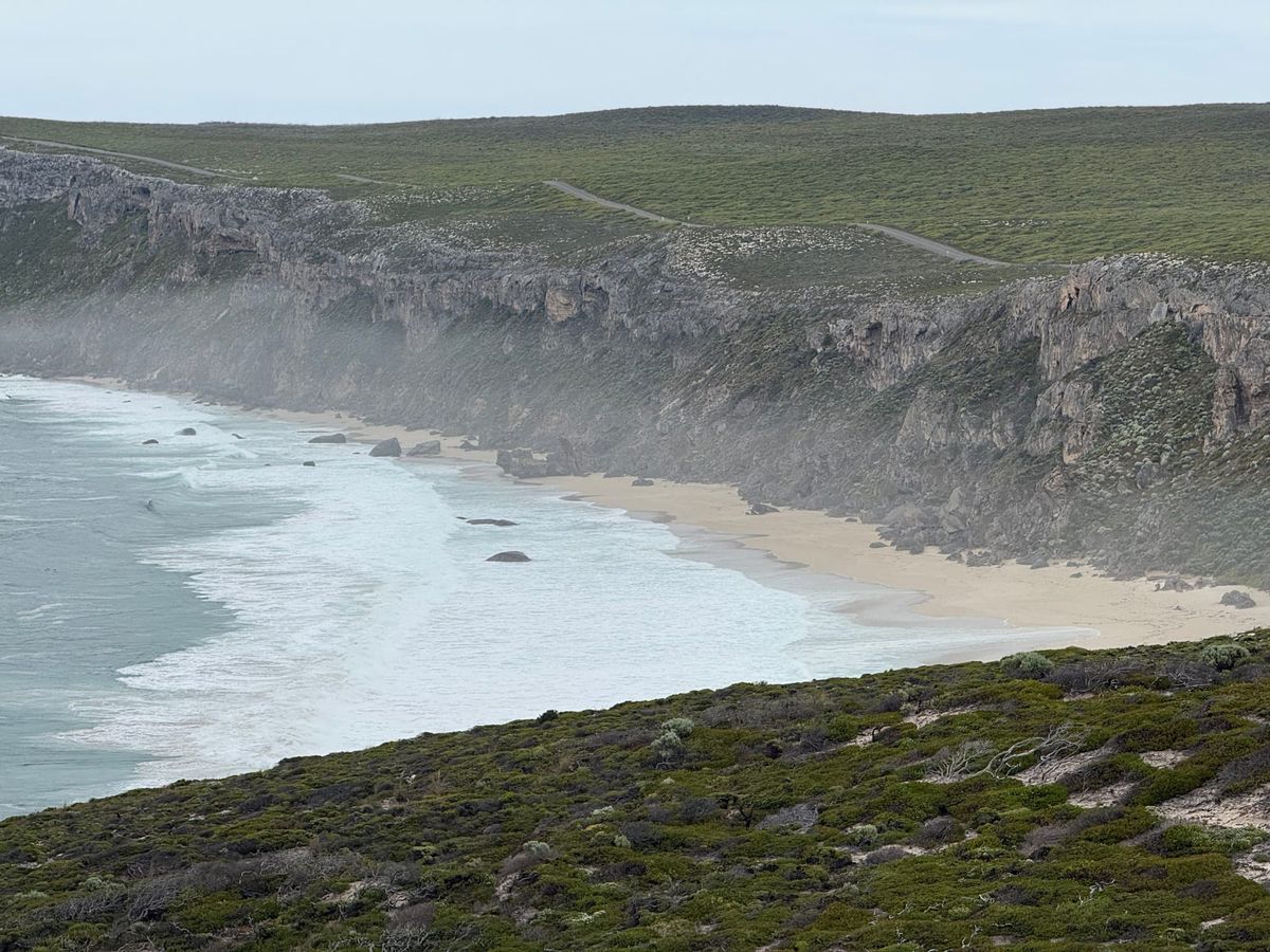 Feedback: The Message In A Bottle