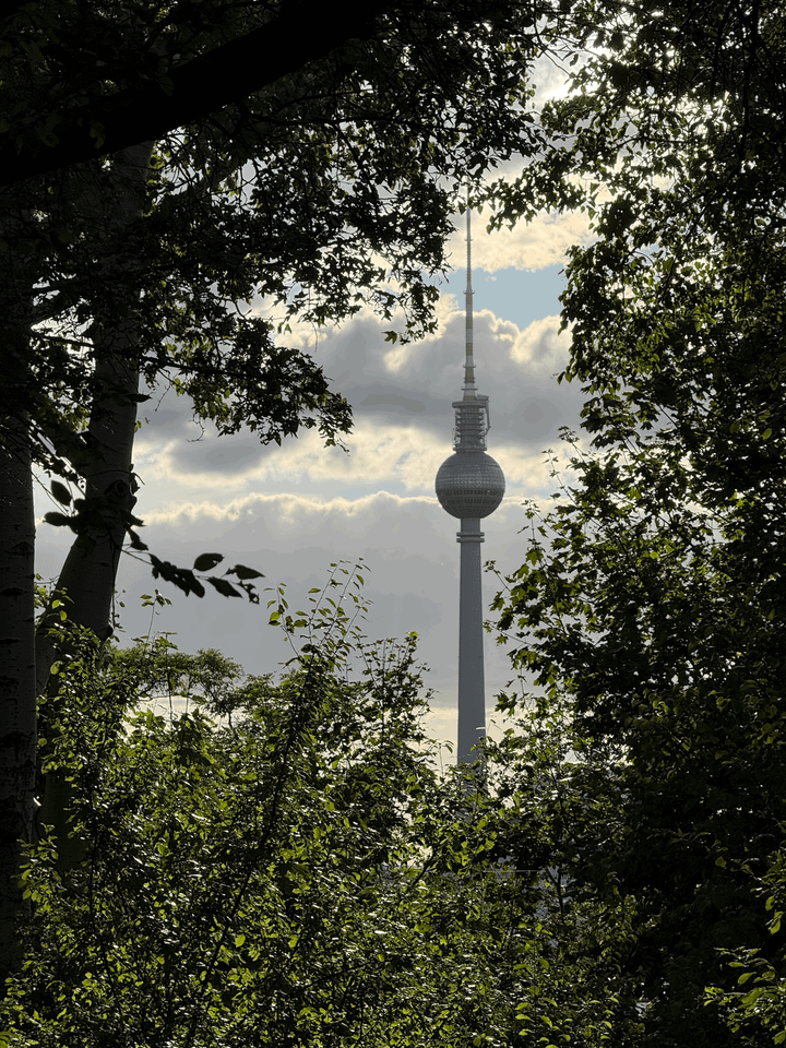 A view of the TV Tower in Berlin from a park