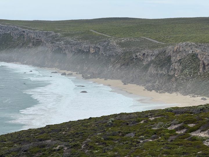 Feedback: The Message In A Bottle