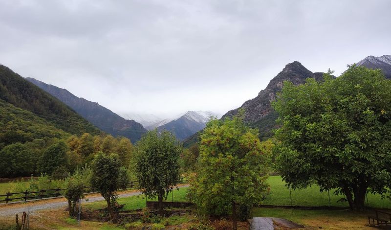 📣 Snow in August & Club News