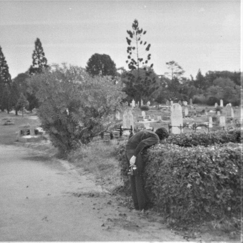 An unstamped passport - dreams don't always come true.