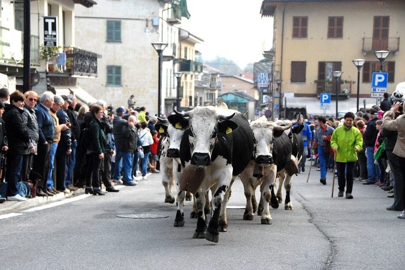 Living Italy - a day at the fair
