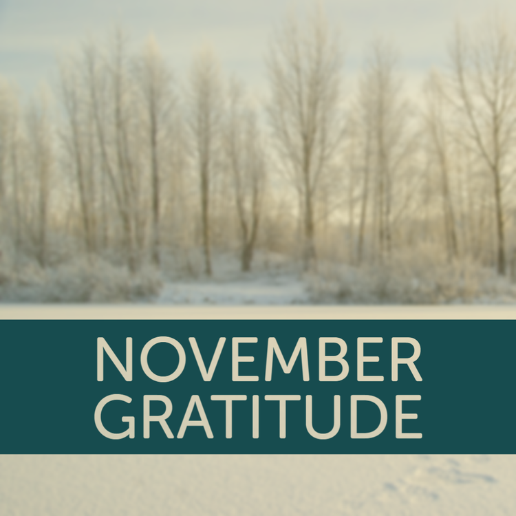 Gratitude and What's Ahead
