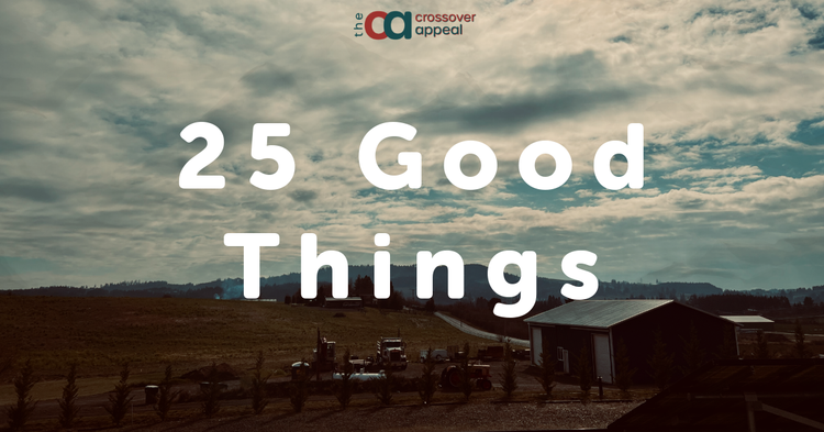 25 Good Things - An Introduction