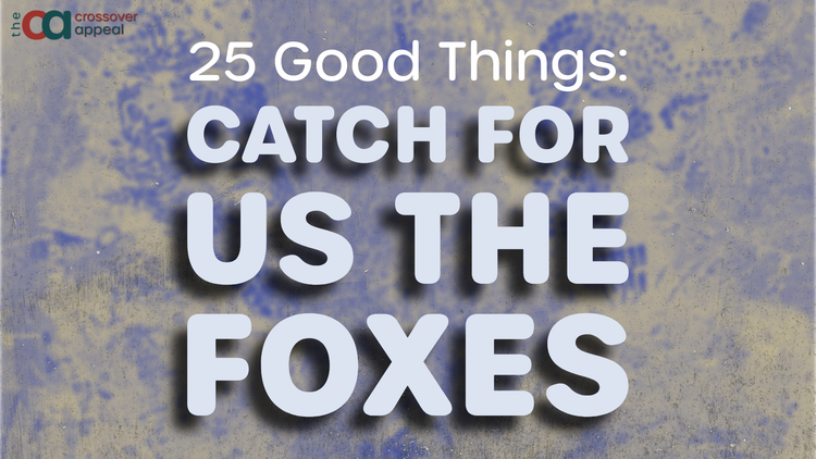 mewithoutYou - Catch for Us the Foxes