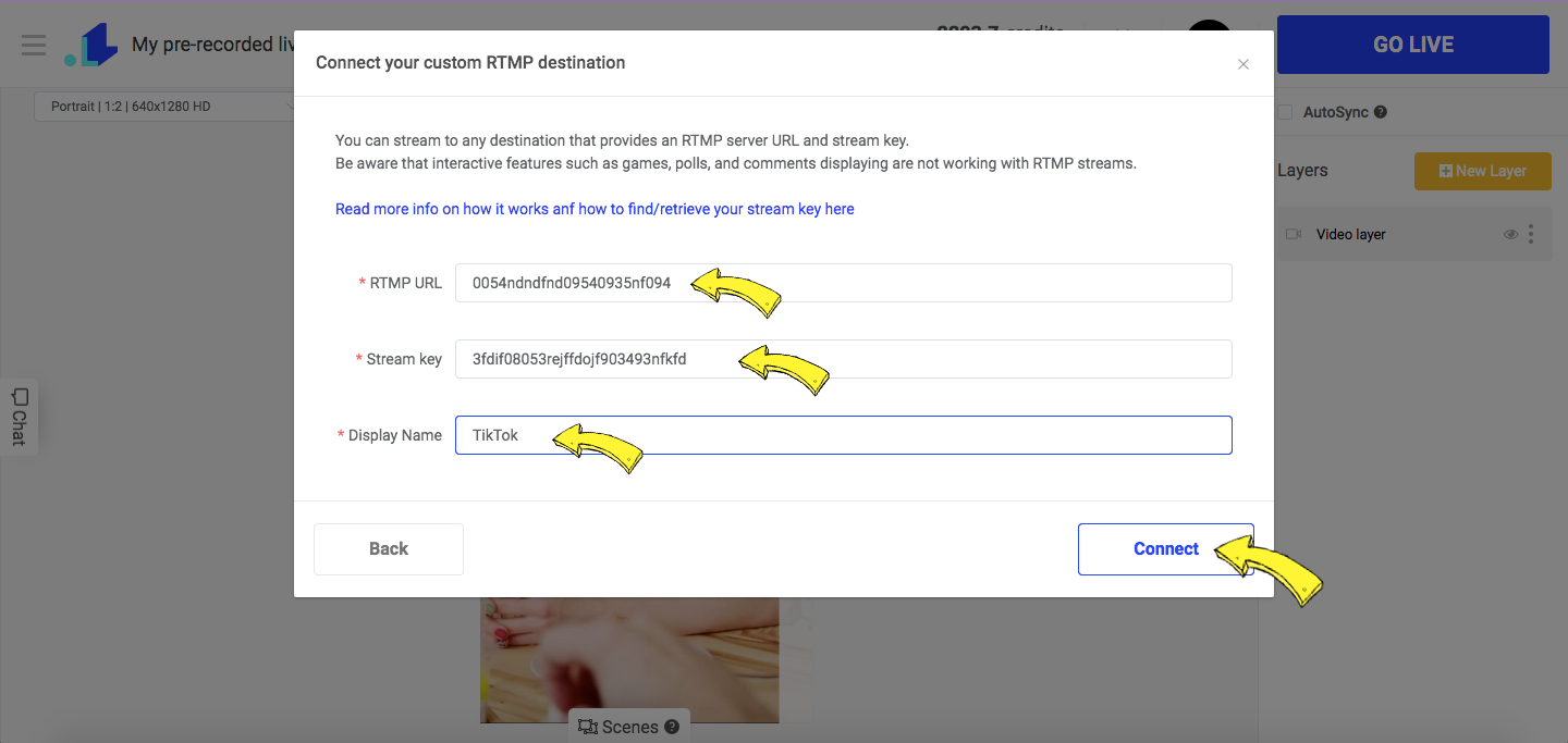 Paste TikTok Stream Key