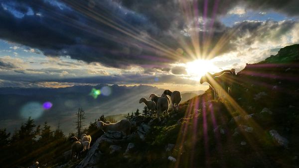 TCLC News - April 27, 2026