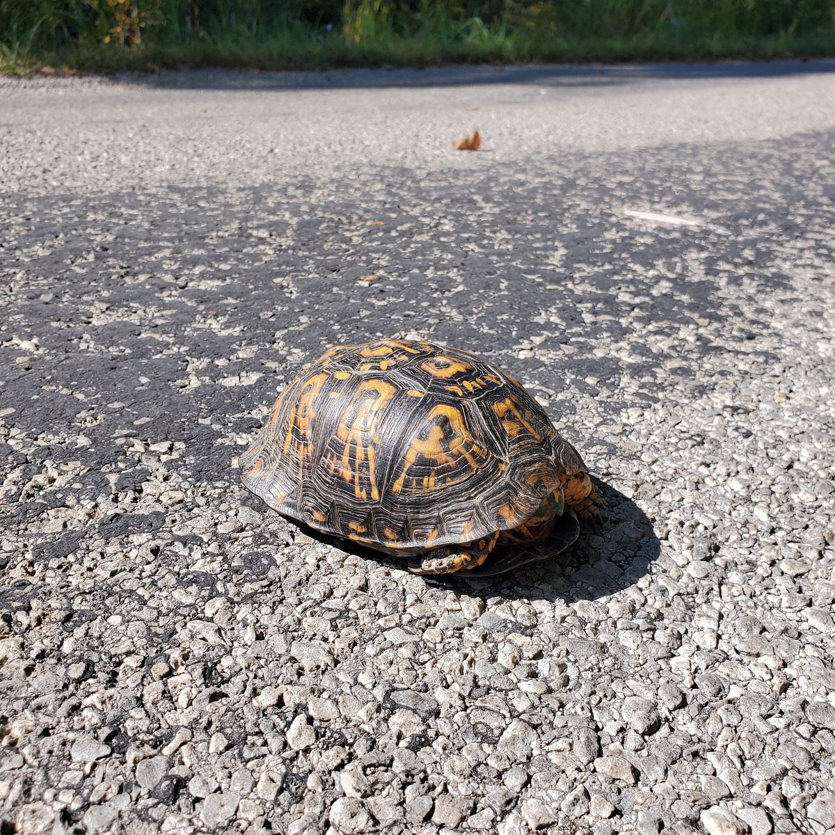 Book Reviews: September 2025