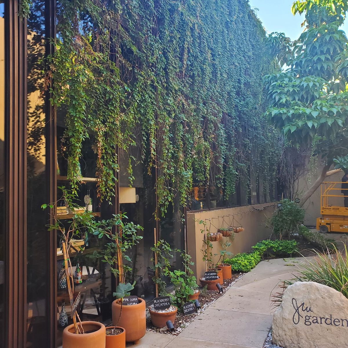 I Wanna Plant an Herb Garden