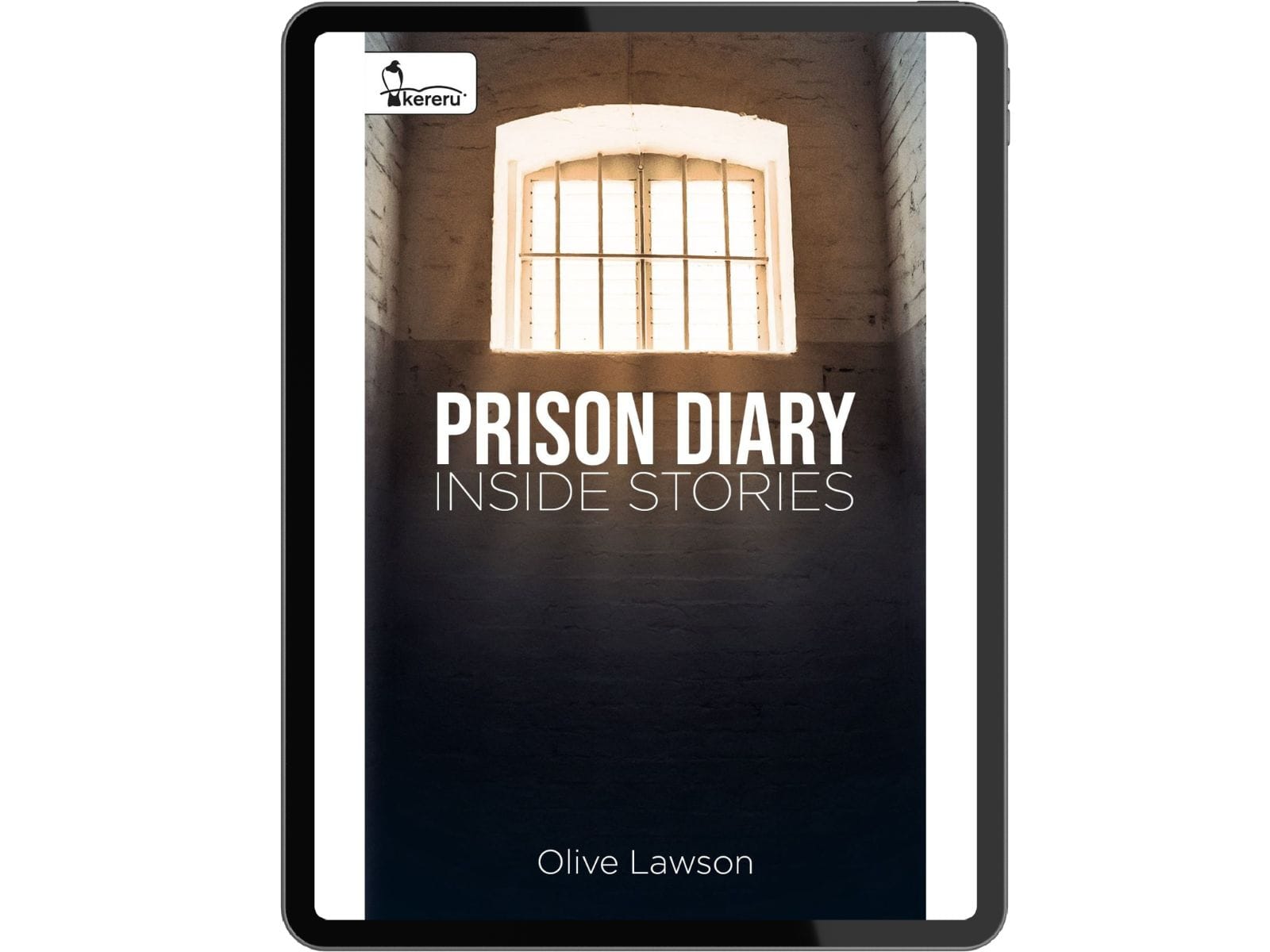 Prison Diary - Inside Stories cover